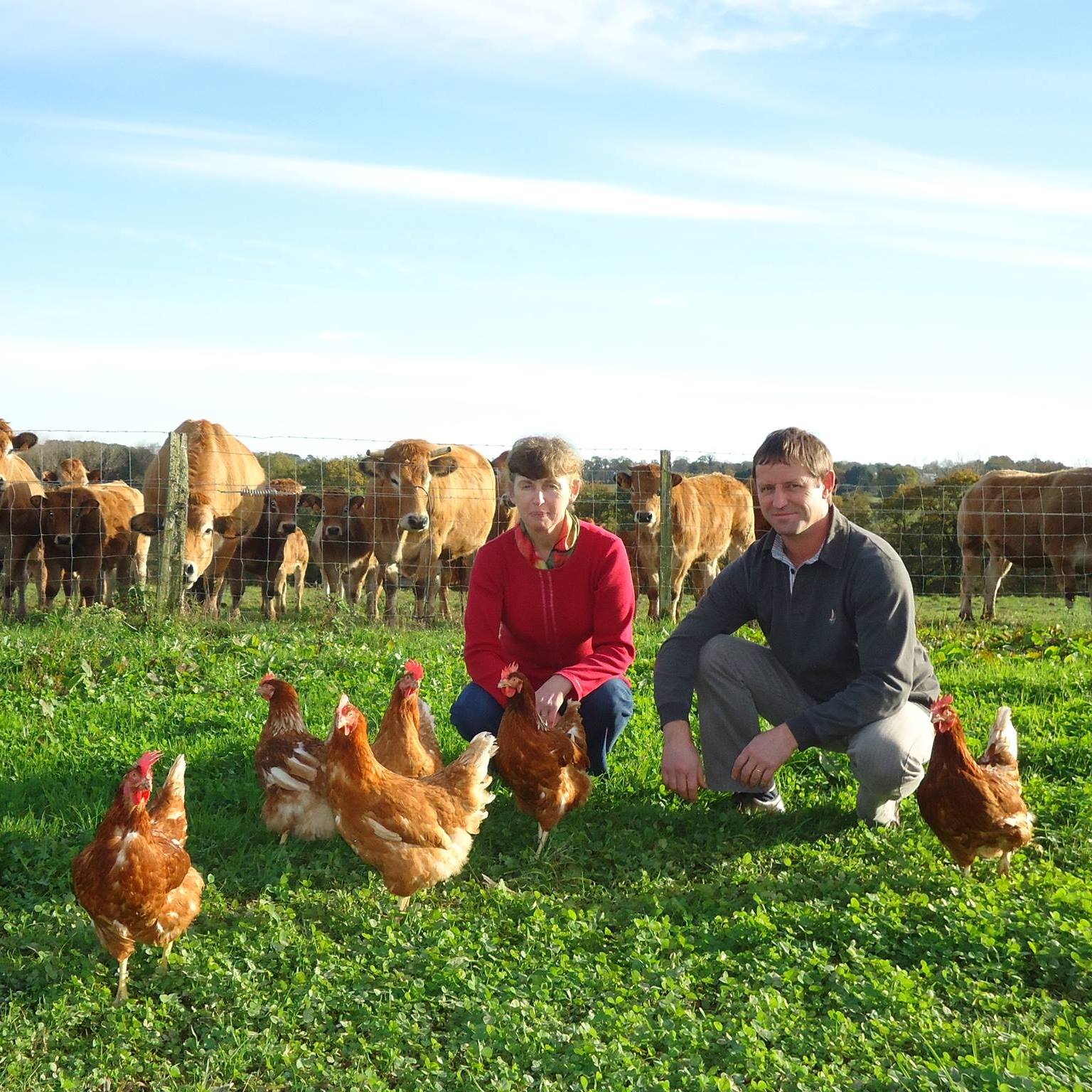 Ferme Lis Ar Parkou - Viande bovine