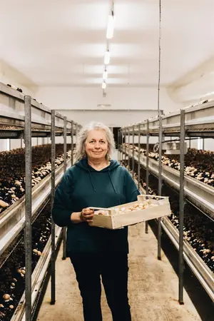 Agari Breizh - Champignons de Paris 