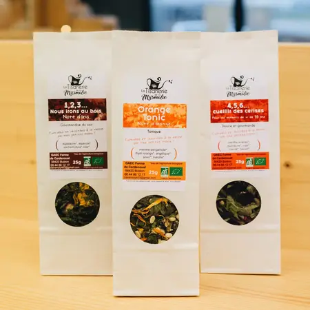 Pontivy - Animation avec La Tisanerie de la Mysmolie et La Dame de Onze Heures