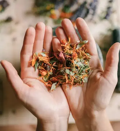 Rencontre avec Isabelle Zérab, naturopathe