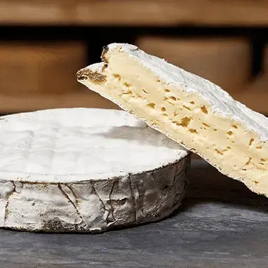 Pontivy - Dégustation de fromages