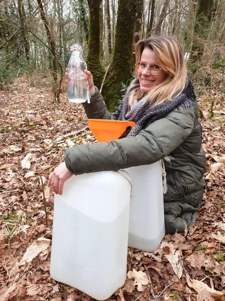 La sève de bouleau fraîche arrive dans vos Biocoop Callune Pontivy et Baud !