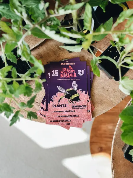 Arrivage de plants